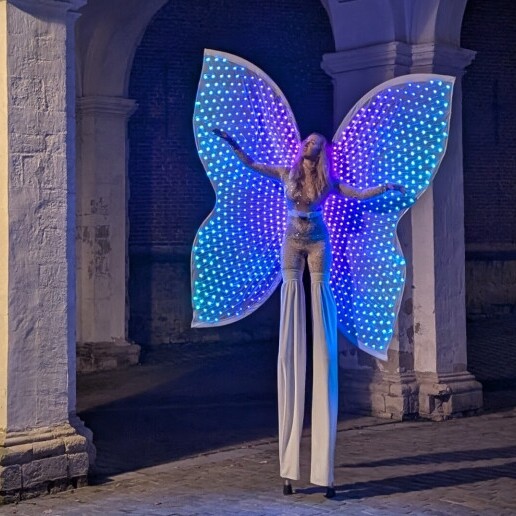 Actor Scherpenheuvel-Zichem  (BE) 