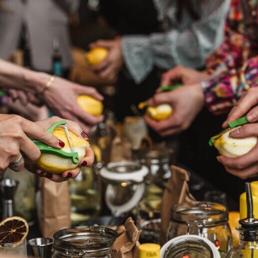 Trainer/Workshop Den Haag  (NL) 