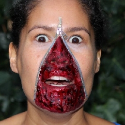 Halloween Face Paint/Special FX