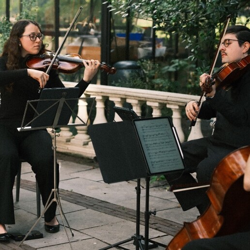 Violinist Brussel  (BE) 