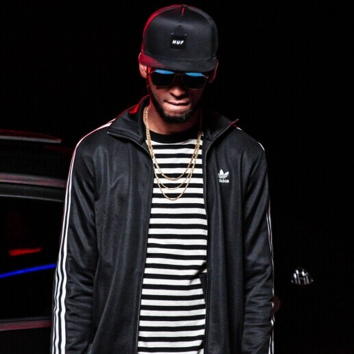 Singer (male) Rijswijk  (Zuid Holland)(NL) 