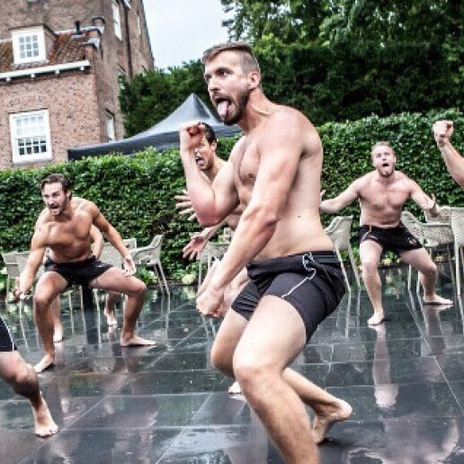 Trainer/Workshop Heerenveen  (NL) 