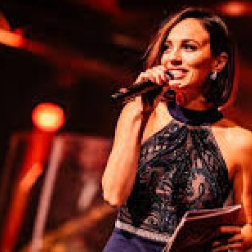 Speaker Rijswijk  (Zuid Holland)(NL) 