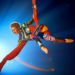 Aerial Silks Duo: Lucht-Acrobatiek Show