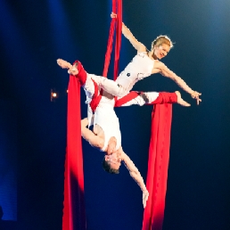 Aerial acrobatics Aerial Silks - Duo Show