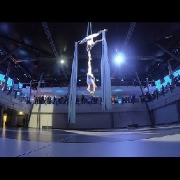 Aerial acrobatics Aerial Silks - Duo Show