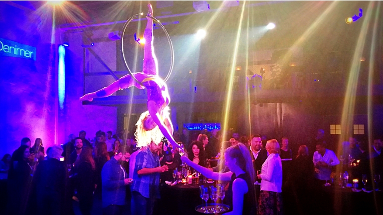 Book Aerial Hoop - Champagne Ring? Directly on ShowBird.com!