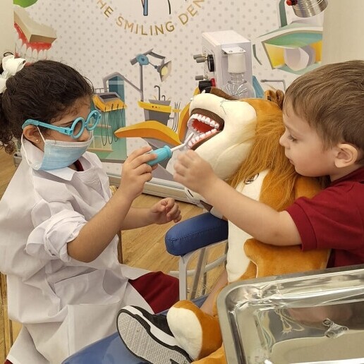 Trainer/Workshop Den Haag  (NL) 