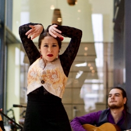 Flamencoshow (Zang, Gitaar en Dans)
