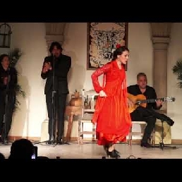 Flamenco Show (Sing, Guitar and Dance)