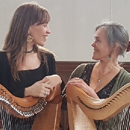 Harpist Zutphen  (NL) Concert with 2 celtic harps