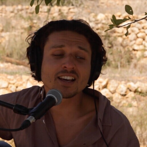 Singer (male) Harderwijk  (NL) 