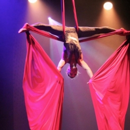 The Aerialettes - Aerial dance duo