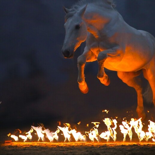 Stunt show Rotterdam  (NL) 