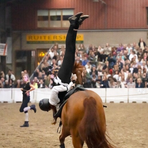 Event show Rotterdam  (NL) 