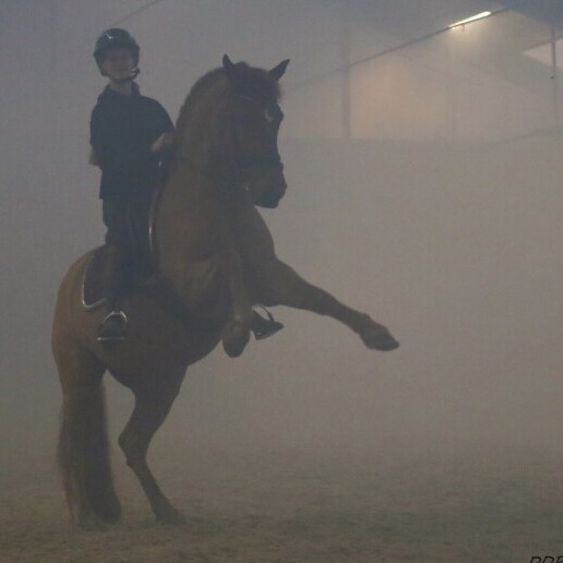 Event show Rotterdam  (NL) 