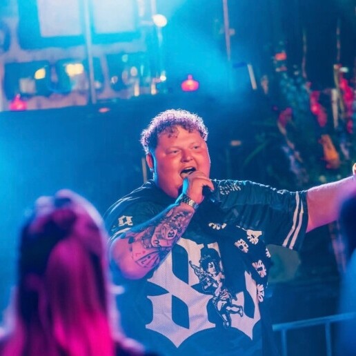 Singer (male) Wieringerwerf  (NL) 