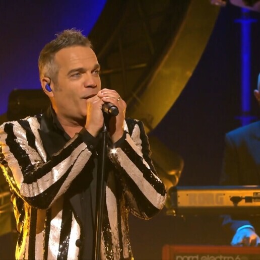 Singer (male) Rijswijk  (Zuid Holland)(NL) 