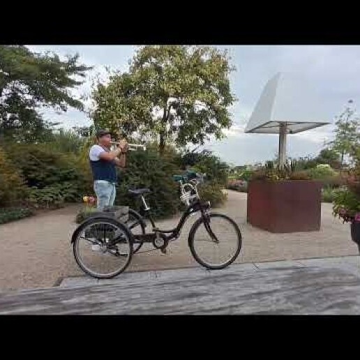 Trompettist Horssen  (NL) 