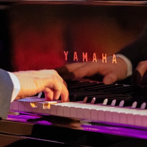 Pianist Westendorp  (NL) 