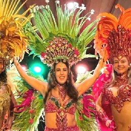 Tropical/Brazilian Theme Party