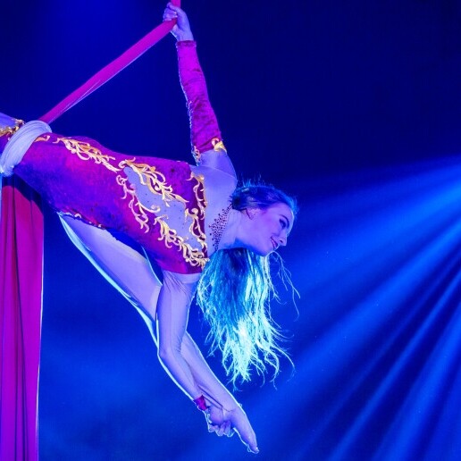 Acrobat Wijk en Aalburg  (NL) 