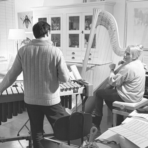 Orchestra Etten-leur  (NL) 