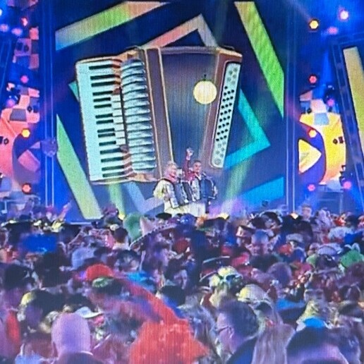 Accordionist Vlaardingen  (NL) 