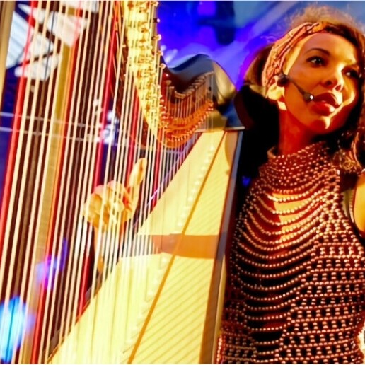 Harpist Utrecht  (NL) 