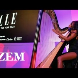 ZEM on electric harp