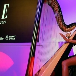 ZEM DJ with live electric harp & vocals