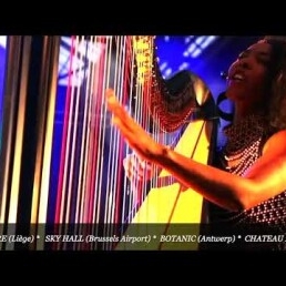 ZEM DJ met live electric harp & vocals