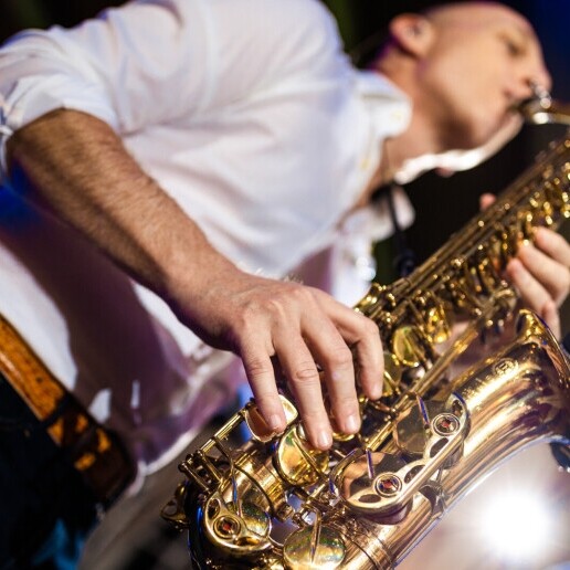 Saxophonist Leusden  (NL) 