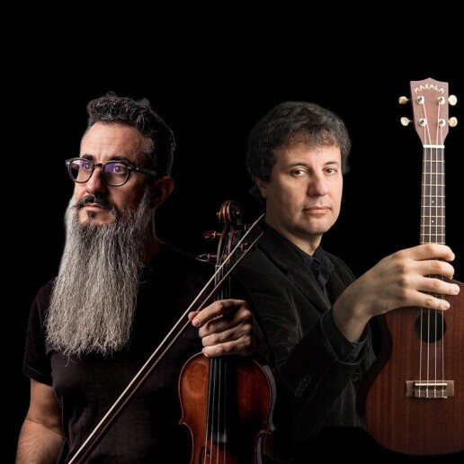 Violinist Amsterdam  (NL) 