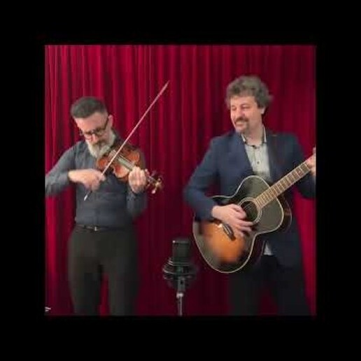 Violinist Amsterdam  (NL) 