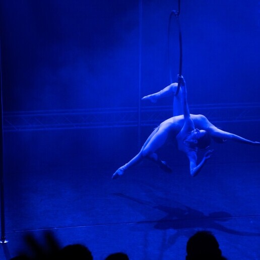 Acrobat Den Haag  (NL) 