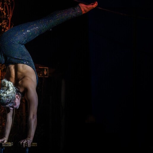 Handstand show