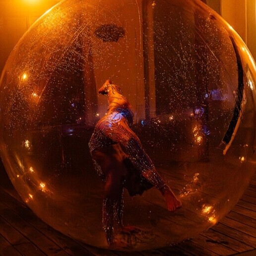 Acrobat Brasschaat  (BE) 