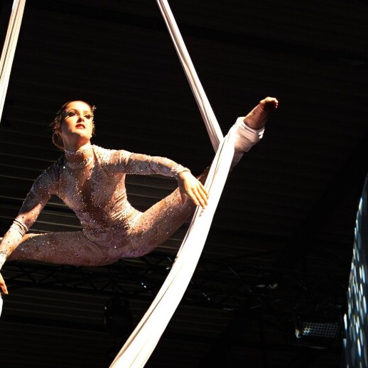 Acrobat Brasschaat  (BE) 