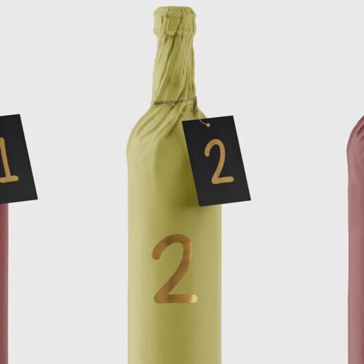 Trainer/Workshop Saint-Gervais 