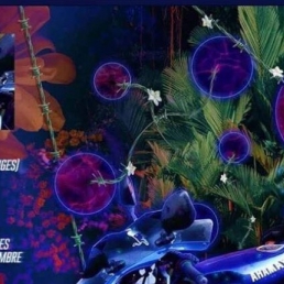 MC Brugge  (BE) HEADLINE SHOW: LAIT DE COCO
