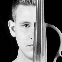 Violinist Heverlee  (BE) Violinvasion