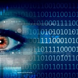 Cybercrime, Internetfraude, Indenteitsfraude