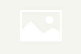 {{r.cat1_cap}} {{r.city}} {{r.title}}